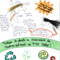 15 P'TIT GALOP dessin