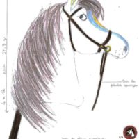 16 LES CHATEAUBOURGEOISES dessin