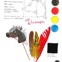 17 TEAM FLIPETTE dessin