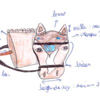 21 LES FANS DE PENELOPE LEPREVOST dessin