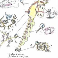 22 LES PONETERINAIRES dessin